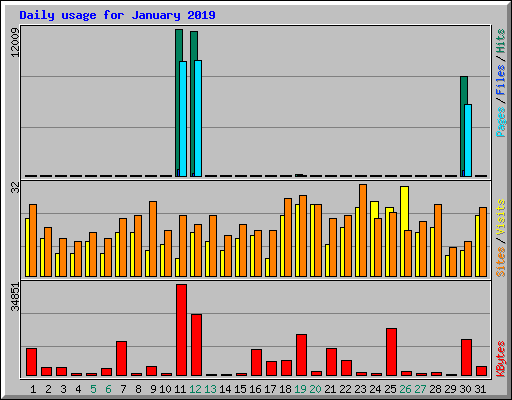 Daily usage for January 2019