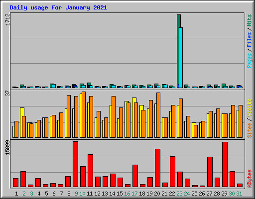 Daily usage for January 2021