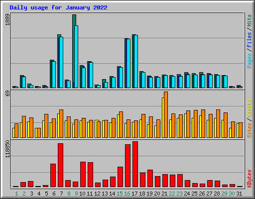 Daily usage for January 2022