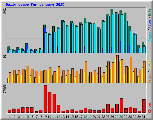 Daily usage for January 2025