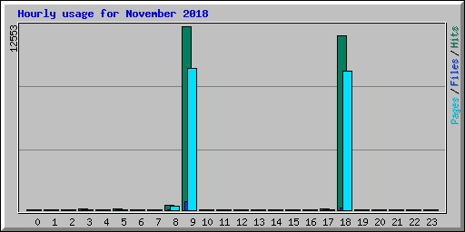 Hourly usage for November 2018