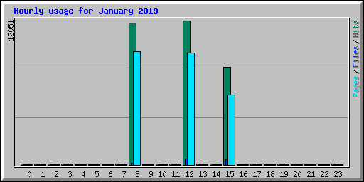 Hourly usage for January 2019