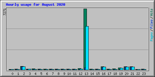 Hourly usage for August 2020