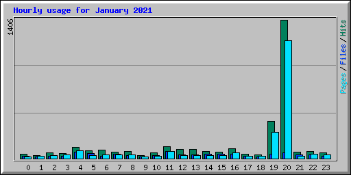 Hourly usage for January 2021