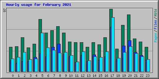 Hourly usage for February 2021