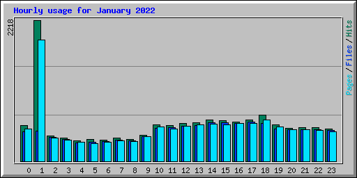 Hourly usage for January 2022
