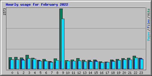 Hourly usage for February 2022