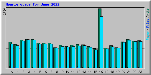 Hourly usage for June 2022