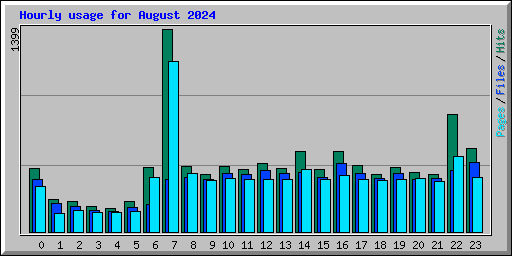 Hourly usage for August 2024