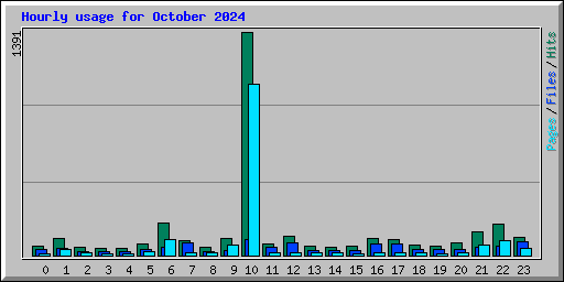 Hourly usage for October 2024
