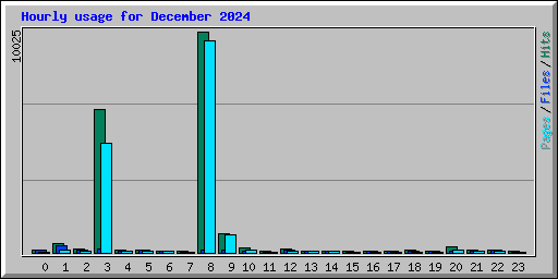Hourly usage for December 2024