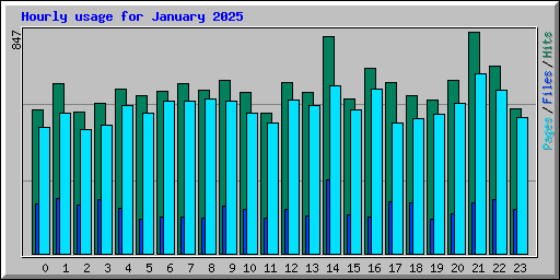 Hourly usage for January 2025