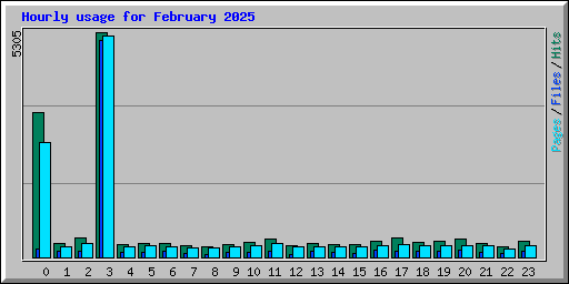 Hourly usage for February 2025