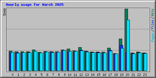 Hourly usage for March 2025