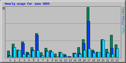 Hourly usage for June 2025