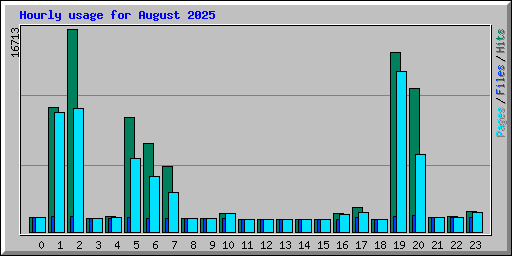 Hourly usage for August 2025