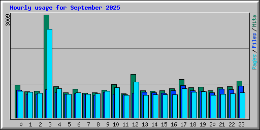 Hourly usage for September 2025