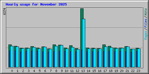 Hourly usage for November 2025