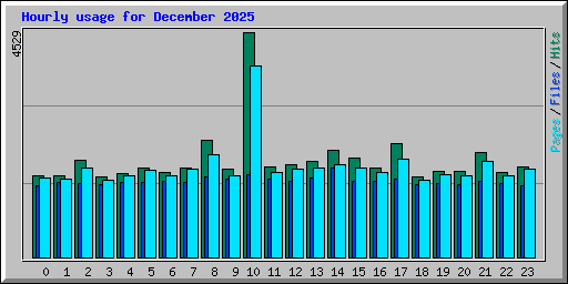 Hourly usage for December 2025