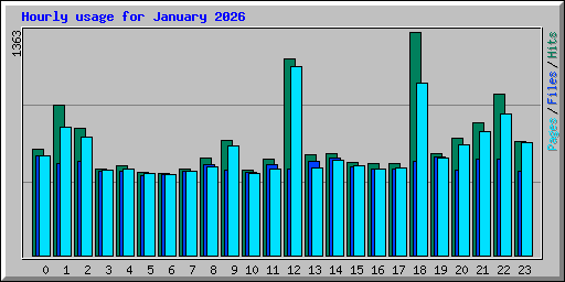 Hourly usage for January 2026